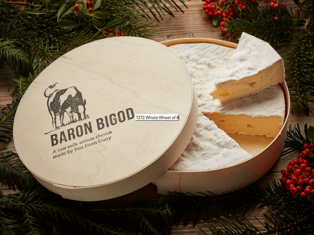 A small picture of Baron Bigod 