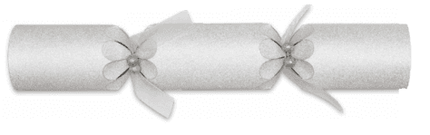 A small picture of Sparkling Silver Crackers 14'' Silver Premium Crackers