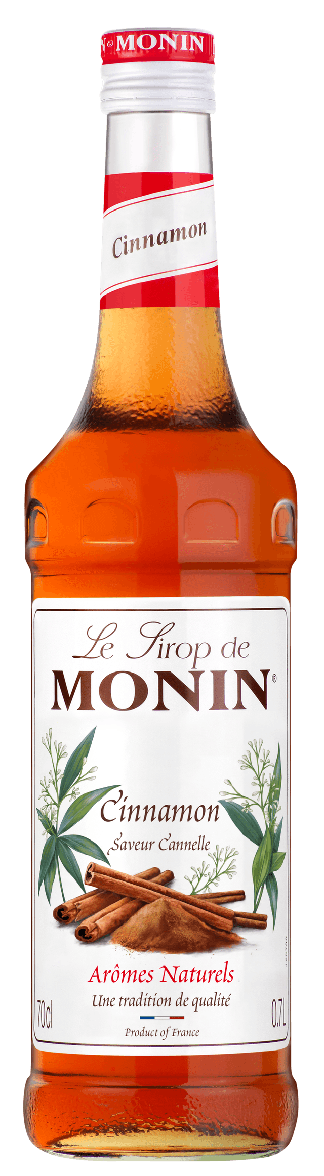 A small picture of Monin Cinnamon Syrup 