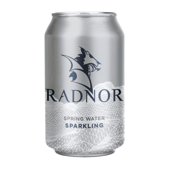 A small picture of Radnor Sparkling Spring Water Can