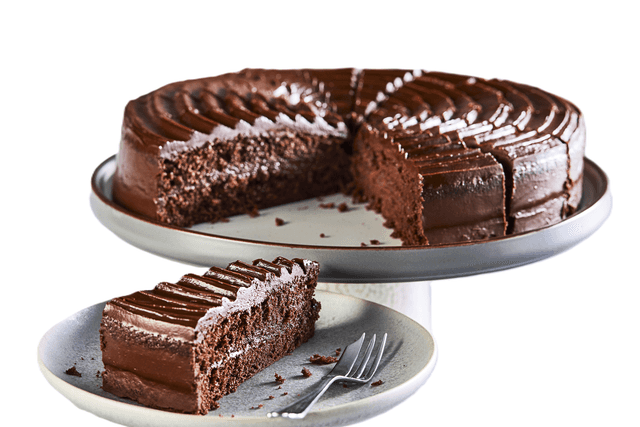 A small picture of CE Chocolate Fudge Cake 