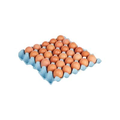 A small picture of 5 Dozen Medium Eggs FR 