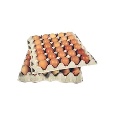 A small picture of 15 Dozen Medium Eggs FR 