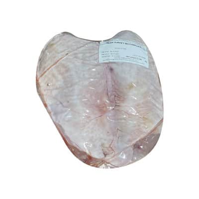 A small picture of Fresh Turkey Butts 