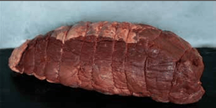 A picture of TS Topside NW 5.5KG