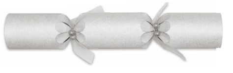 A picture of Sparkling Silver Crackers 14'' Silver Premium Crackers
